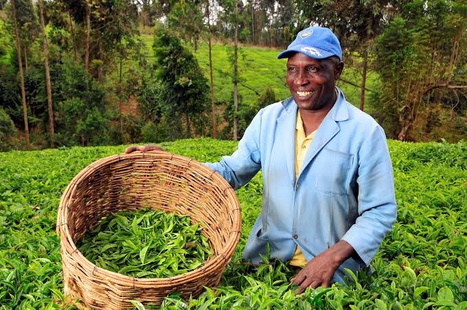 Smallholder Protection